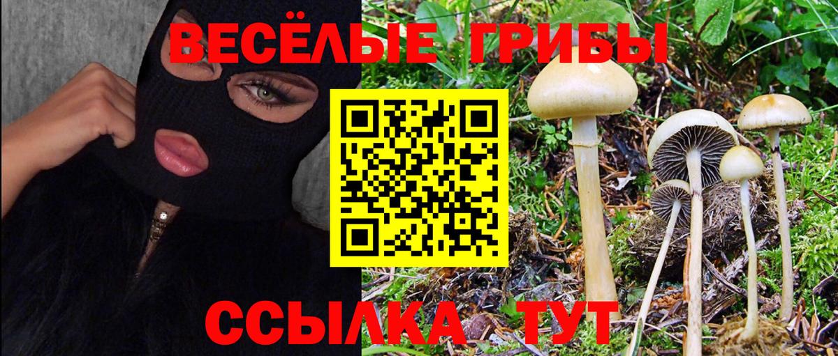 как найти наркотики  Псилоцибиновые грибы MAGIC MUSHROOMS  Вход с VPN  Кувандык 