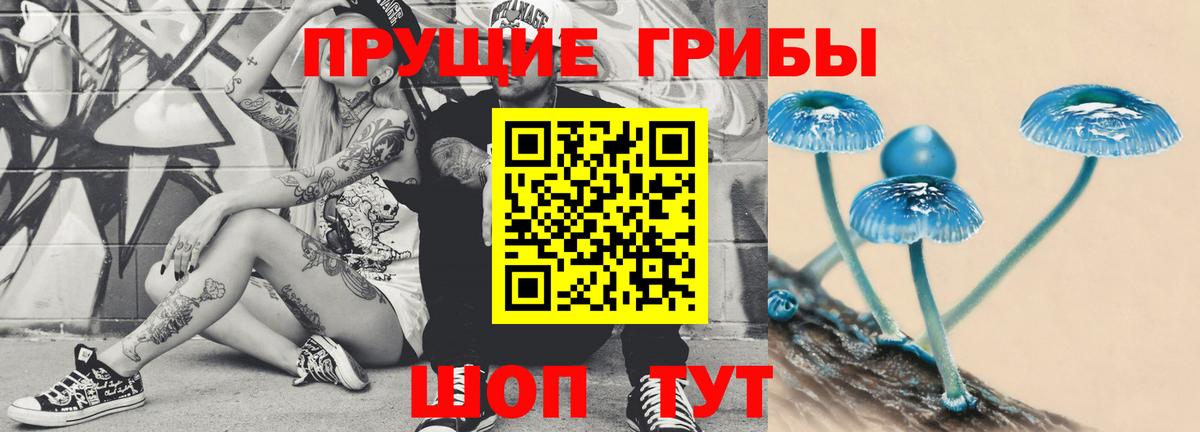 Псилоцибиновые грибы Psilocybine cubensis Кувандык